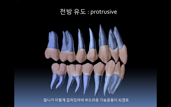 131.jpg