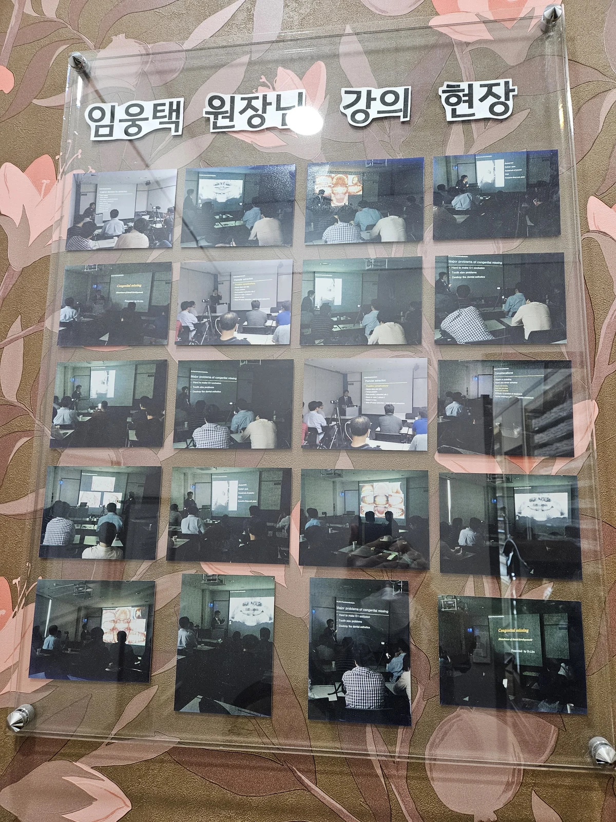임웅택 원장의 여러 교정 강의 현장 사진